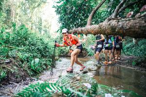 BIB: 
                            <button type="button" onclick="openModal(25478119)" class="btn btn-primary btn-sm float-right btn-popup" data-toggle="modal" data-target=".modal-high-quality">
                        <i class="fas fa-shopping-cart"></i> Add to Cart
                    </button>
                                            <button type="button" onclick="isThisMe(25478119, true)" class="btn btn-success btn-sm float-right btn-popup btn-isme hidden" data-toggle="tooltip" data-placement="bottom" title="นี่คือรูปของคุณใช่ไหม คลิกที่นี่เพื่อเอาเข้าอัลบั้ม">
                        <i class="fas fa-plus"></i> Add to album
                    </button>
                    <button type="button" onclick="isThisMe(25478119, false)" class="btn btn-warning btn-sm float-right btn-popup btn-isnotme hidden">
                        <i class="fas fa-ban"></i> Remove from album
                    </button>